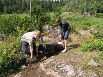 Landart Schweden